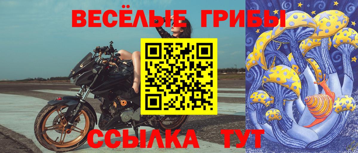 Красноярск  Псилоцибиновые грибы GOLDEN TEACHER  Псилоцибиновые грибы MAGIC MUSHROOMS  Вход с VPN 
